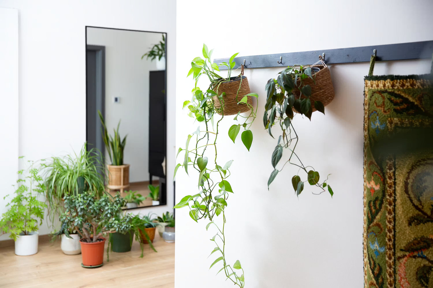 Hängende Pflanzen