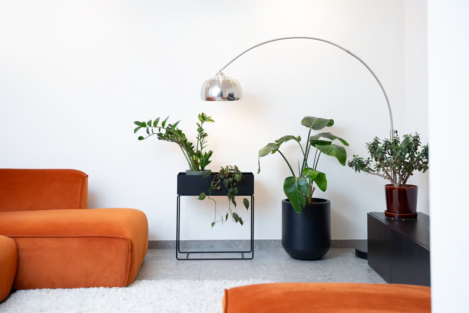 Pflanzen für jeden Raum