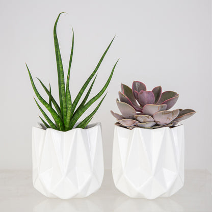 Keramiktopf Dania Mittel    2er Set